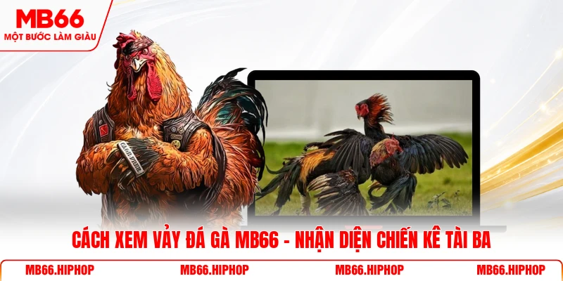 Cách xem vảy đá gà MB66