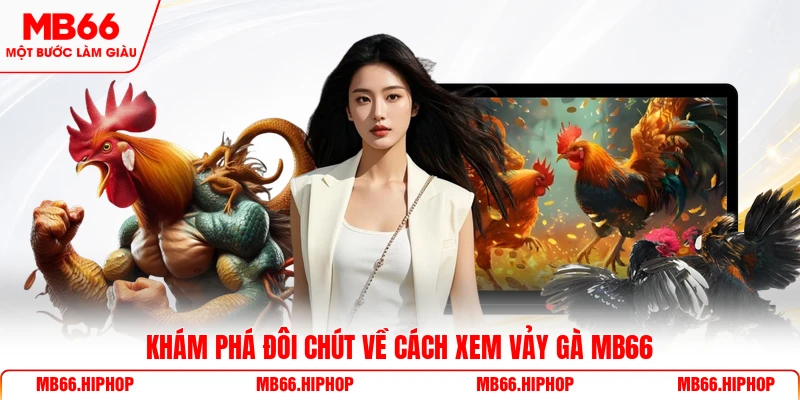 Khám phá đôi chút về cách xem vảy gà MB66