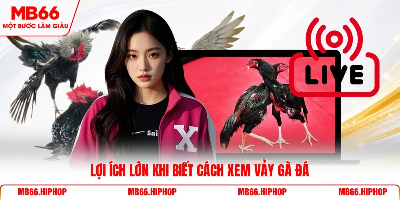 Lợi ích lớn khi biết cách xem vảy gà đá