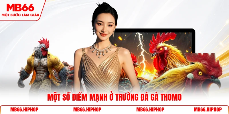 Một số điểm mạnh ở trường đá gà Thomo 
