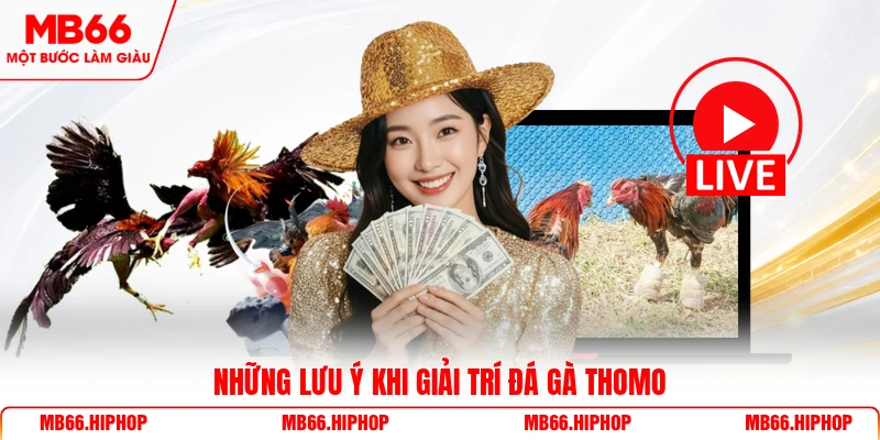 Những lưu ý khi giải trí đá gà Thomo